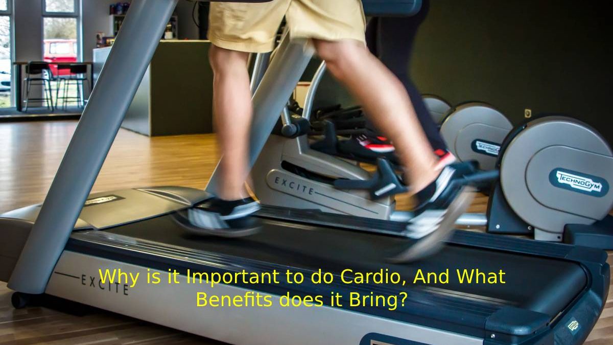Why is it Important to do Cardio, And what Benefits does it Bring?