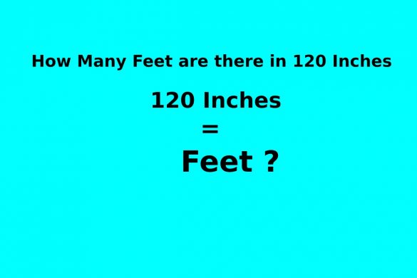 How Many Feet are there in 120 Inches_