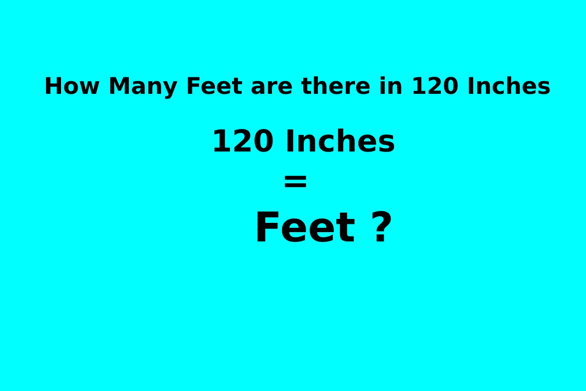 how many feet in 120 inches