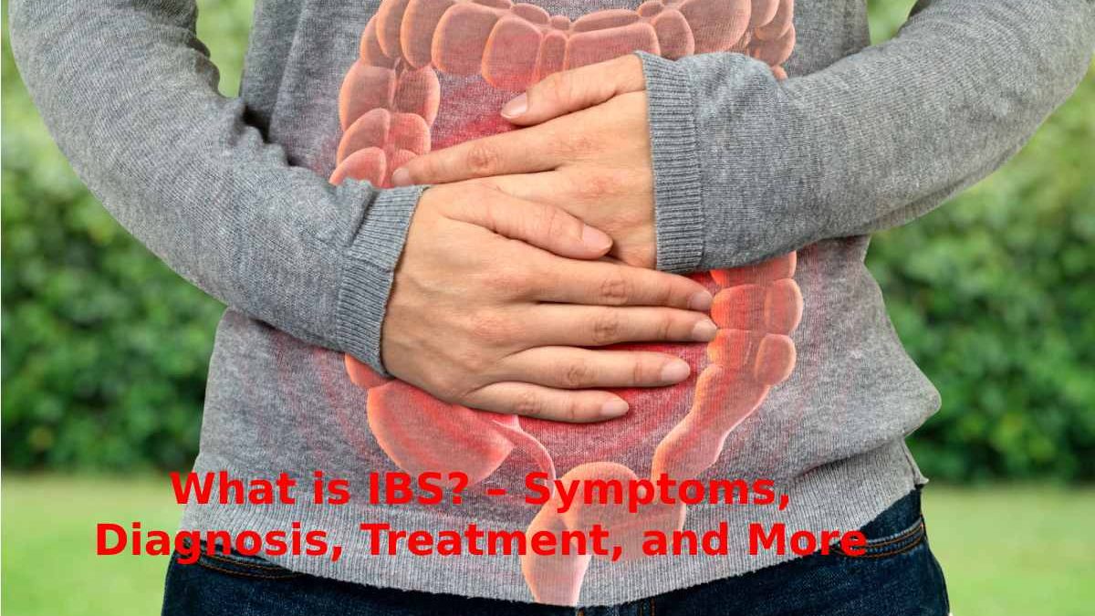 What is IBS? – Symptoms, Diagnosis, Treatment, and More