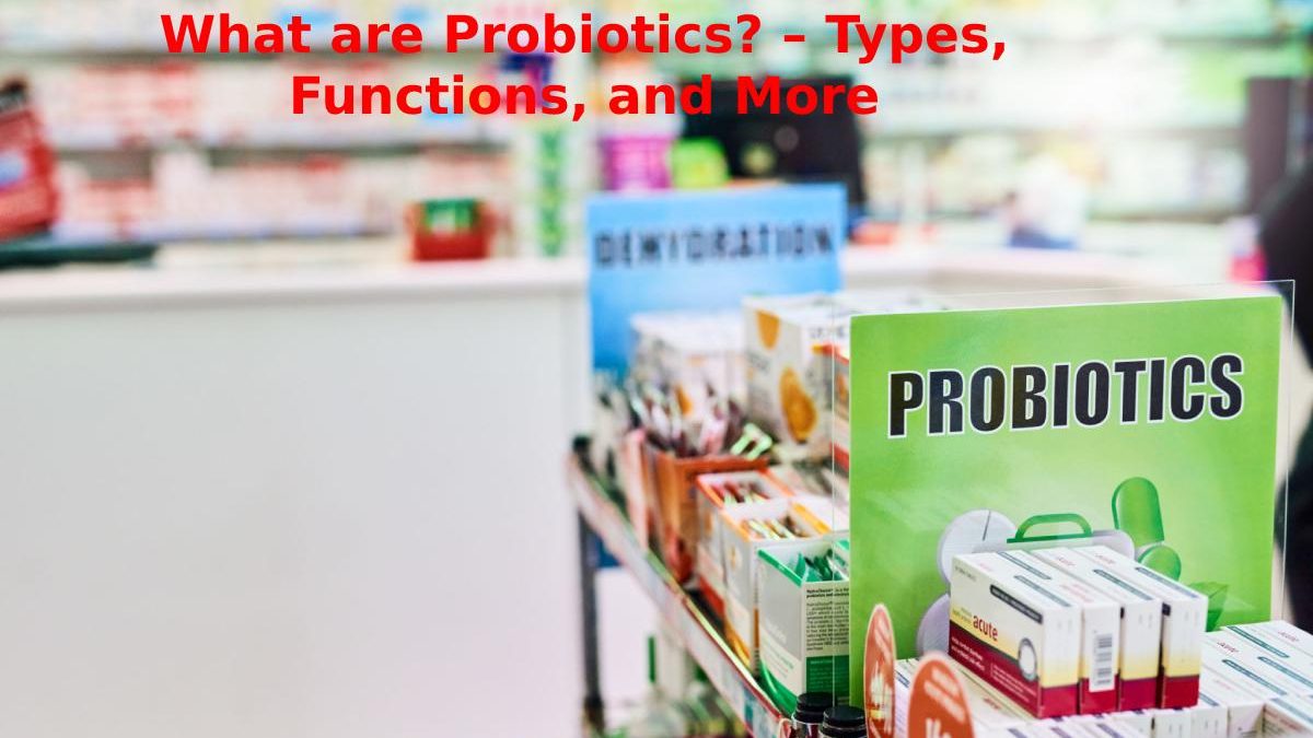 What are Probiotics? – Types, Functions, and More