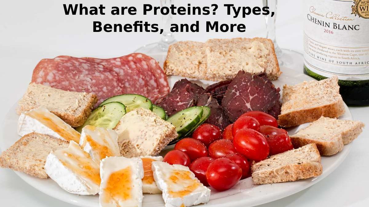 What are Proteins? Types, Benefits, and More
