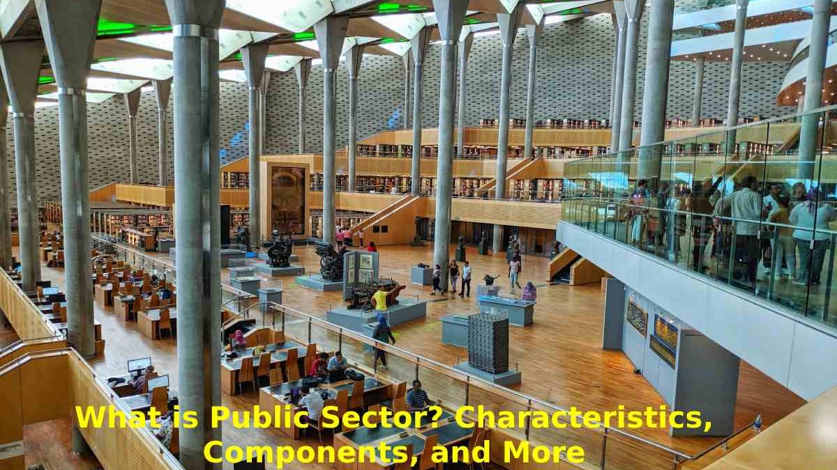 What is Public Sector? Characteristics, Components, and More