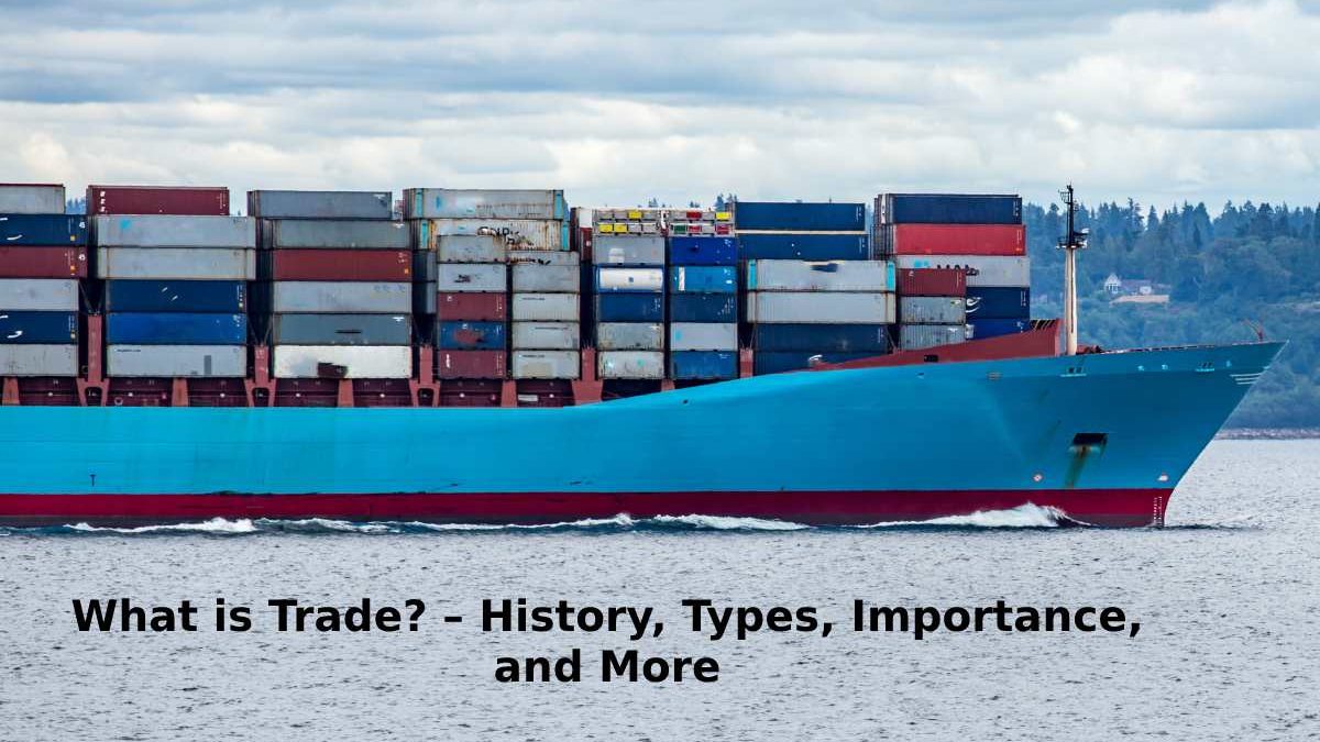 What is Trade? – History, Types, Importance, and More