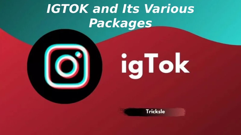 IGTOK and Its Various Packages