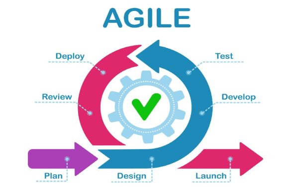 Agile Methodology: Key Principles and Techniques