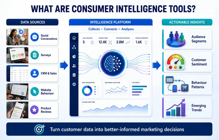 What Are Consumer Intelligence Tools